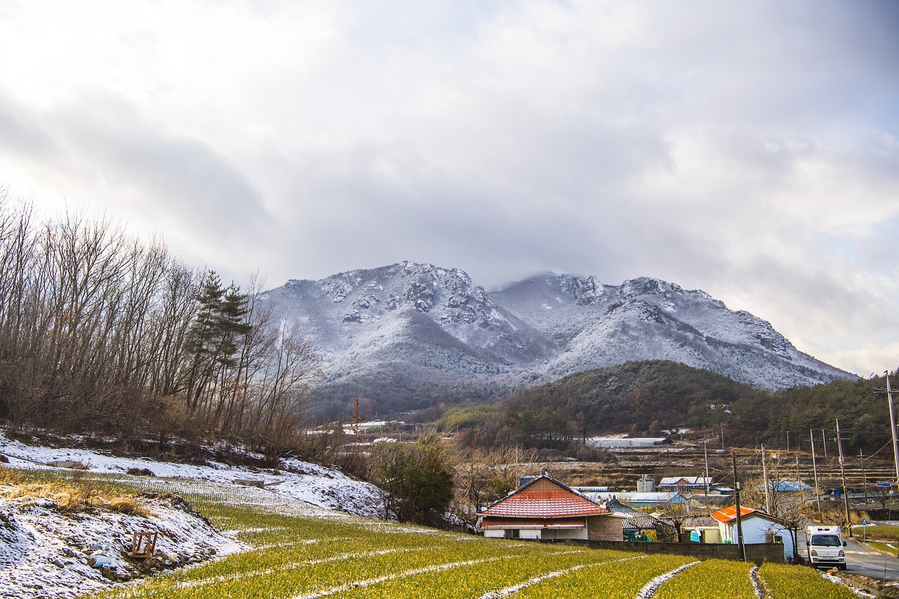 라이언 - lion. a snowy mountain range with a house and trees